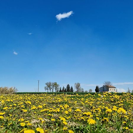 Antico Pioppo Panzió Sale Kültér fotó